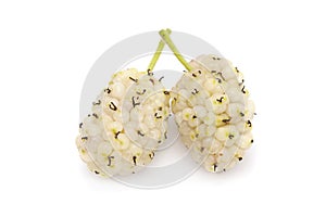White mulberry fruit