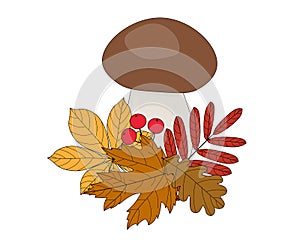 White mushroom with autumn maple chestnut rowan oak leaves and berries vector illustration