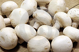White mushrooms champignon on a wooden table