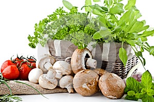 White mushrooms with herbs on a white background