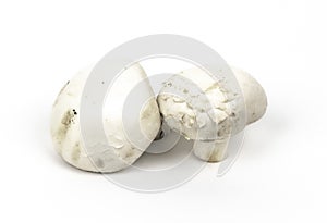 White mushrooms isolated on white background