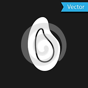 White Mussel icon isolated on black background. Fresh delicious seafood. Vector.