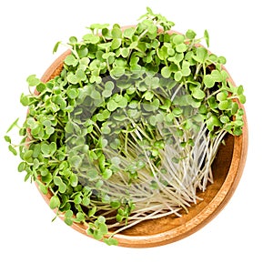 White mustard microgreen in wooden bowl over white photo