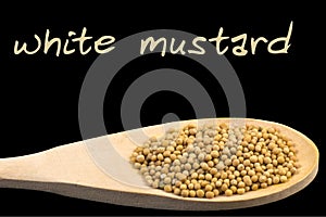 White mustard on wooden spoon isolated on black background