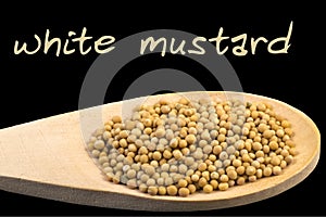 White mustard on wooden spoon isolated on black background