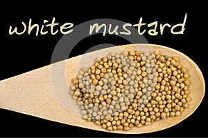 White mustard on wooden spoon isolated on black background