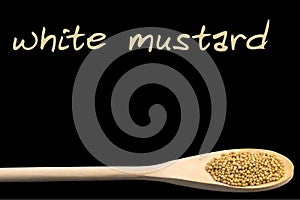 White mustard on wooden spoon isolated on black background