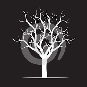 White naked Tree on black background.