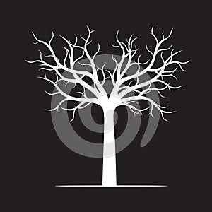 White naked Tree on black background.