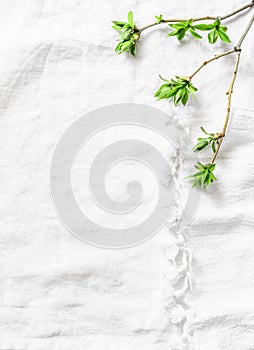 White napkin background with fresh green leaves branches with copy space. Rustic spring frame background composition with free spa