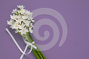 White narcissus blooms tied with ribbon on purple background