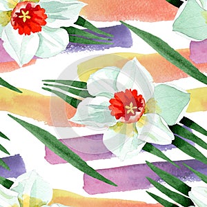 White narcissus floral botanical flower. Watercolor background illustration set. Seamless background pattern.