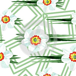 White narcissus floral botanical flower. Watercolor background illustration set. Seamless background pattern.