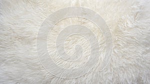 White natural animal wool fur texture background