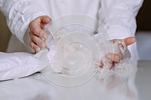 white natural fluff table hands employee clean form photo