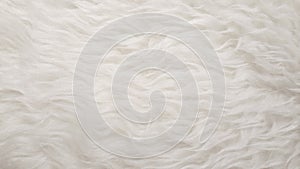White Natural fluffy flat sheep pet skin texture backgrounds, material for carpet home decoration, leather textile industry