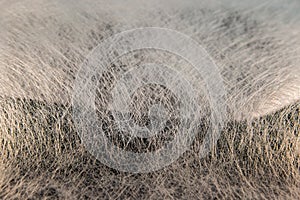 White natural transparent tissue veil snapped in selective focus with lighting effects