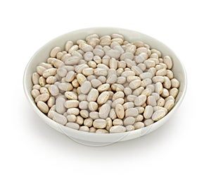 White navy bean