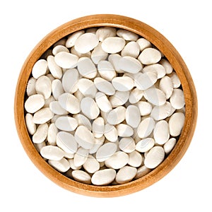 White navy beans in wooden bowl over white photo