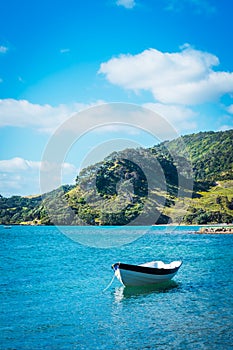 White and navy wooden rowboat moored in the shallow