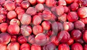 White nectarines on display
