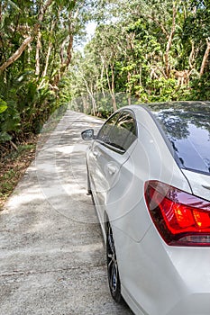 White new car on straight road along the natural green tree