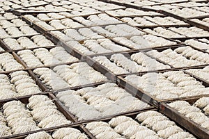 White noodles drying under the sun