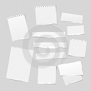 White note, notebook paper pieces with torn edges stuck on white squared backgroud. Vector illustration.