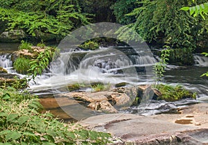 White Oak Creek Cascades