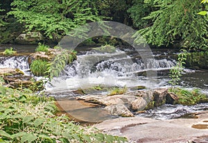 White Oak Creek Cascades