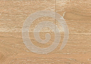 White oak harrison seamless texture