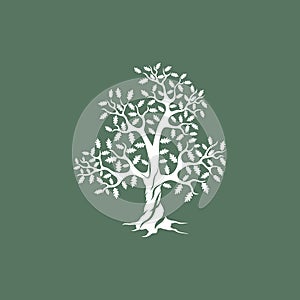 White oak tree silhouette on green background