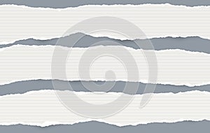 White oblong lined paper strips with torn edges in horizontal position, paper for note are on gray background. Vector photo