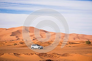 White offroad car driving in the sahara of merzouga morocco. High sand dunes in the background. Desert driving. Exploring offroad.