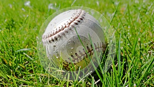 White old baseball ball on fresh green grass with copy space closeup. American sports baseball game