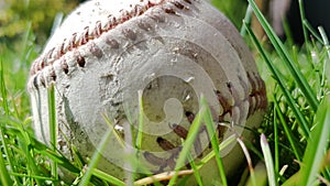 White old baseball ball on fresh green grass with copy space closeup. American sports baseball game