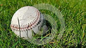 White old baseball ball on fresh green grass with copy space closeup. American sports baseball game