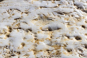 White, old marble texture. Natural background