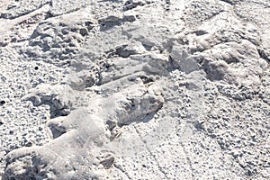 White, old marble texture. Natural background