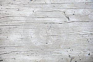 White old wood texture