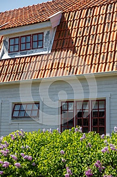 White old wooden plank panel house with orange tiled roof and lilac garden