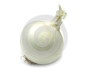 White Onion