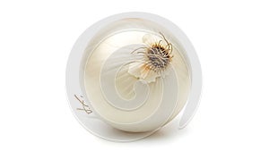 A white onion on a white background (ai generated)