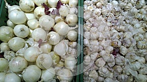 White onion and garlic on supermarket shelves. Retail industry. Grocery shopping.