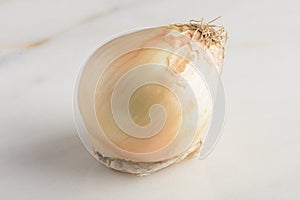 White onion on marble