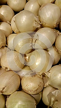 White Onions