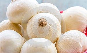 White Onions