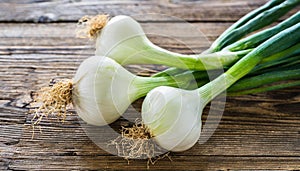 White onions, copyspace on a side