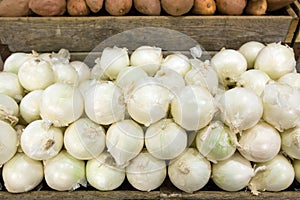 White onions in food market