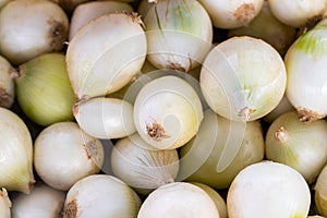 White Onions at fresh-food market